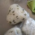クックUL8OCM☆'s cooksnap of when they made 郷土の味☆いんげんのおむすび☆.