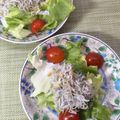 horseland's cooksnap of when they made 簡単◎シラスとレタスのイタリアンサラダ.