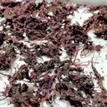 ☆あいちゃん's cooksnap of when they made 簡単！オーブンで乾燥！自家製ゆかり.