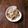 クックL8U9HI☆'s cooksnap of when they made ささがきゴボウと鶏ミンチの甘辛炒め.