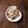 クックL8U9HI☆'s cooksnap of when they made ささがきゴボウと鶏ミンチの甘辛炒め.