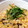 うきこっこ's cooksnap of when they made ☆簡単☆鮭フレーク炒飯.