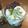 まっちゃまろ's cooksnap of when they made 抹茶ミルク寒天.