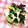 めみたん☆'s cooksnap of when they made レタスとナガイモのさっぱりサラダ.