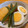 Yukitchenn's cooksnap of when they made じゃがいもとゆで卵の炊いたん.