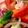 りんば's cooksnap of when they made トマトとキュウリと紫玉ねぎのマリネ.
