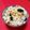 パピちゃん♥️'s cooksnap of when they made オカワカメの炊き込みご飯.