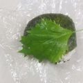 きらり流れ星's cooksnap of when they made ちょっピリ大人味のツナマヨにぎり～♪.
