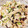 クックM0WU0M☆'s cooksnap of when they made 簡単☆ささみとしめじのねぎ生姜ポン酢和え.
