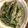 BB＠美瑛's cooksnap of when they made ごま和え.