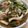 にこぬん's cooksnap of when they made 豚肉オクラトマトの炒め物.