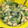 クック7NA4SM☆'s cooksnap of when they made めんつゆで簡単！山形のだし.