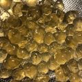 Froggycook's cooksnap of when they made ！本格手作りタピオカ！　片栗粉で簡単.