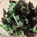 気まぐれご飯を作る人's cooksnap of when they made 男子大学生のかいわれ大根の韓国風サラダ.