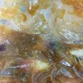なるみゃあ's cooksnap of when they made 手間いらず茗荷の味噌漬け・・・！（笑.