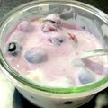 イシス女神's cooksnap of when they made ズボラ☆速攻！ヨーグルトジェラート｡ஐஃ.