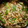 尚人パパ's cooksnap of when they made 豚ともやしとピーマンの味噌炒め♡.