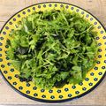 ばぢこ's cooksnap of when they made ミョウガと水菜のチョレギ風サラダ.