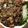 朔蔵Kitchen's cooksnap of when they made アジのなめろう.