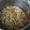 クックJCQNXP☆'s cooksnap of when they made 青大豆のひたし豆.