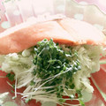 みっくママ's cooksnap of when they made 鮭のムニエルをサラダと一緒に～.
