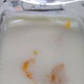まりゆりひろこ's cooksnap of when they made 缶詰みかんでミルクゼリー.