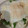 クックP2LEN3☆'s cooksnap of when they made 水菜ウィンナー丼！目玉焼きを乗せて！.