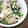 そらてんママ's cooksnap of when they made *絹さやの白和え*.