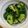 Halü★mama's cooksnap of when they made 簡単！お茶漬け海苔でキュウリの浅漬け.