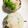 67luna's cooksnap of when they made 妊娠、授乳に！枝豆チーズの昆布おにぎり.