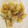 ctscan's cooksnap of when they made ツナと白菜のマヨ炒め.