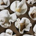 クックE5GLB1☆'s cooksnap of when they made 簡単！餃子の皮でタコスパーティー♪.