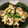 d1026m's cooksnap of when they made 美容効果抜群の海老と豆苗の卵炒め.