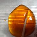 クックFM23IC☆'s cooksnap of when they made 【迫真お料理部】紅茶べっこう飴の裏技.