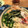 sonokochan's cooksnap of when they made 原価やっすい！田舎そば.
