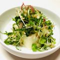 azbjbn's cooksnap of when they made 薬味たっぷりの冷やっこ.