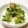 azbjbn's cooksnap of when they made 薬味たっぷりの冷やっこ.