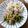 ＊ゆうこぽよよ＊'s cooksnap of when they made こんにゃくとピーマンのおかかきんぴら☆.