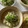 mmm_izumi's cooksnap of when they made 簡単！アジで美味しいかちょーの冷汁.