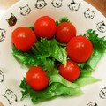 さおりらっくま's cooksnap of when they made レタスとプチトマトの簡単サラダ♪.