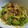 aizu_po's cooksnap of when they made 小松菜と納豆の卵炒め.