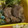 クックUL8OCM☆'s cooksnap of when they made 豚肉ともやしの甘辛ごま炒め.