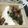 クックUL8OCM☆'s cooksnap of when they made 栄養たっぷり変わり冷奴.