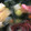 コメダコメコ's cooksnap of when they made 祖母から習った魚のあら汁.