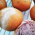 yn0731's cooksnap of when they made HBで簡単！ブルーベリーパン(丸パン).