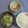 mmameco's cooksnap of when they made 砂肝スライスの野菜炒め♪.