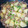 香川ねこ's cooksnap of when they made 10分で！簡単新ジャガの焼肉のタレ炒め.