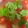 pe_summer☆'s cooksnap of when they made ミニトマト甘酒マリネ.