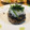 さーらママ's cooksnap of when they made 蓮根の和風おろしハンバーグ(大きめ).