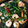 Ｚママ's cooksnap of when they made ◎エビとホタテの空芯菜炒め◎.